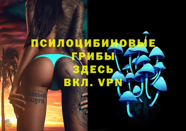 спиды Алзамай